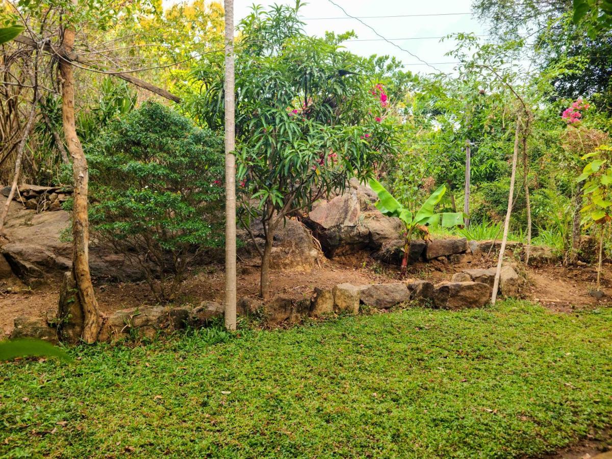 Woodholic Homestay Szigirija Kültér fotó