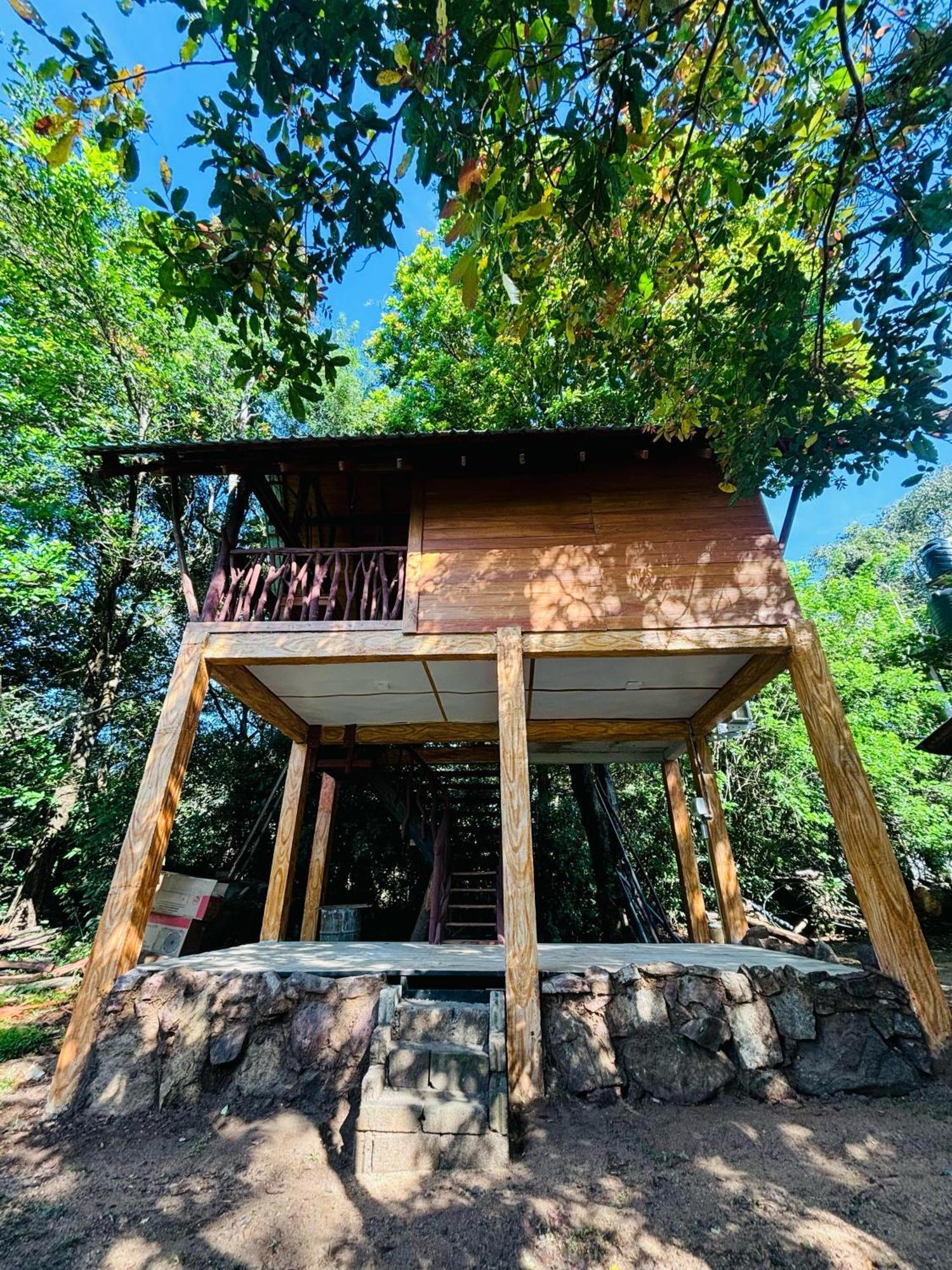 Woodholic Homestay Szigirija Kültér fotó